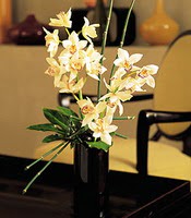  Ankara 14 ubat iekiler  cam yada mika vazo ierisinde dal orkide