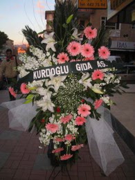kazablanka,gerbera,sebboy ferforje  Ankara 14 �ubat �i�ek�i ma�azas� 