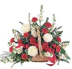 sepet i�erisinde karanfiller    Ankara 14 �ubat �i�ek yolla �i�ek�i 