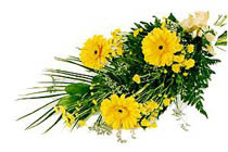sari gerbera ve sari �i�ek   Ankara 14 �ubat �nternetten �i�ek sipari�i 