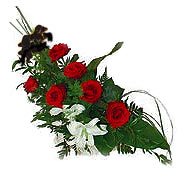 7 adet g�l ve kazablanka   Ankara 14 �ubat ucuz �i�ek g�nder 
