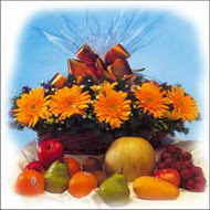 sepette gerbera ve meyvalar   Ankara 14 �ubat �i�ek�i ma�azas� 