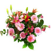 lilyum ve gerbera �i�ekleri - �i�ek se�imi -  Ankara 14 �ubat �i�ek g�nderme 
