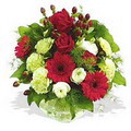 karanfil gerbera ve g�ller - d�s�nenelere �zel -  Ankara 14 �ubat �i�ek g�nderme 