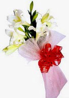  Ankara 14 �ubat �i�ek , �i�ek�i , �i�ek�ilik  ince vazoda gerbera ve ayi