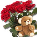 11 adet g�l ve ayicik buket   Ankara 14 �ubat �i�ek yolla �i�ek�i 