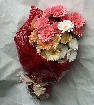 19 adet karisik gerbera buketi  Ankara 14 �ubat cicek , cicekci 