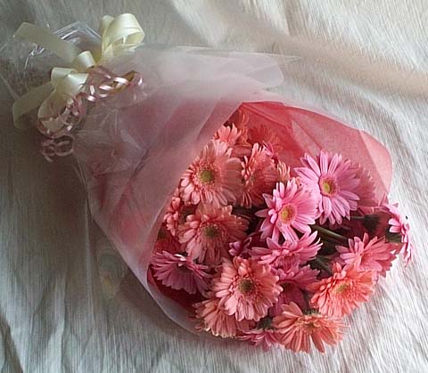17 adet gerbera buketi  Ankara 14 �ubat cicek , cicekci 