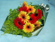 t�l i�erisinde gerbera �i�ekleri 11 adet  Ankara 14 �ubat cicek , cicekci 