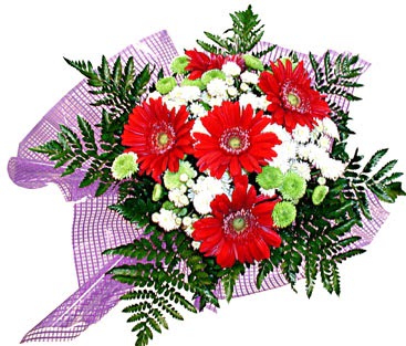 gerbera ve krizantem demeti  Ankara 14 �ubat �i�ek�i ma�azas� 