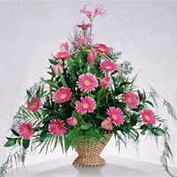 gerbera �i�eklerinden sepet tanzimi  Ankara 14 �ubat �i�ek ma�azas� , �i�ek�i adresleri 