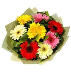 9 adet karisik gerbera demeti  Ankara 14 �ubat �i�ek ma�azas� , �i�ek�i adresleri 