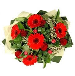  Ankara 14 �ubat ucuz �i�ek g�nder   5 adet kirmizi g�l 5 adet gerbera demeti