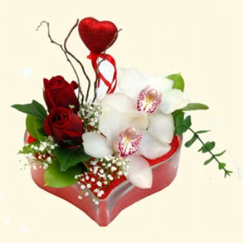  Ankara 14 ubat hediye sevgilime hediye iek  1 kandil orkide 5 adet kirmizi gl mika kalp