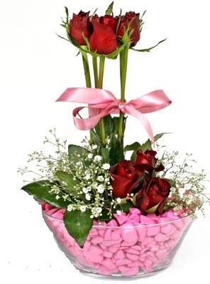  Ankara 14 �ubat �nternetten �i�ek sipari�i  SEVIYORUM DIYENLER 7 kirmizi g�l tanzim 