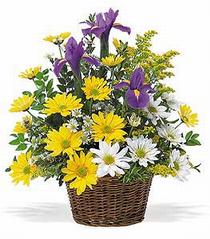  Ankara 14 �ubat �i�ek online �i�ek sipari�i  �i�ek klasik kir sepeti sevenlere