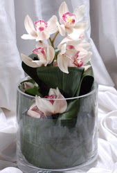  Ankara 14 ubat internetten iek siparii  Cam yada mika vazo ierisinde tek dal orkide
