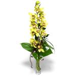  Ankara 14 ubat iek yolla ieki  1 dal orkide iegi - cam vazo ierisinde -