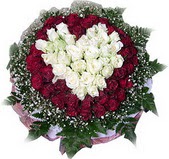  Ankara 14 �ubat �i�ek ma�azas� , �i�ek�i adresleri  27 adet kirmizi ve beyaz g�l sepet i�inde