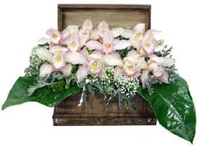  Ankara 14 ubat ucuz iek gnder  sandik ierisinde 1 dal orkide