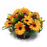 gerbera ve kir �i�ek masa aranjmani  Ankara 14 �ubat �i�ek sipari�i vermek 