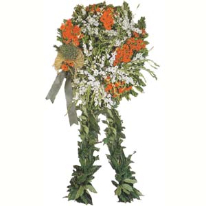 Cenaze �i�ek , cenaze �i�ekleri , �elengi  Ankara 14 �ubat 14 �ubat sevgililer g�n� �i�ek 