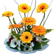 camda gerbera ve mis kokulu kir �i�ekleri  Ankara 14 �ubat �i�ek�i telefonlar� 