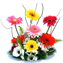  Ankara 14 �ubat sevgilime hediye �i�ek yolla  camda gerbera ve mis kokulu kir �i�ekleri 