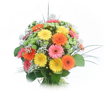 13 adet gerbera �i�egi buketi  Ankara 14 �ubat online �i�ek g�nderme sipari� 