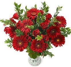5 adet kirmizi g�l 5 adet gerbera aranjmani  Ankara 14 �ubat sevgilime hediye �i�ek yolla 