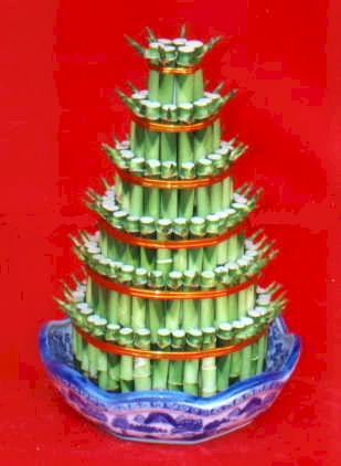 Lucky Bamboo sans melegi �i�egi  Ankara 14 �ubat �i�ek�iler 