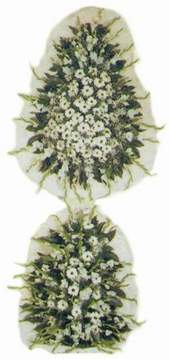  Ankara 14 �ubat �i�ek sipari�i vermek  d�g�n a�ilis �i�ekleri nikah �i�ekleri  Ankara 14 �ubat g�venli kaliteli h�zl� �i�ek 