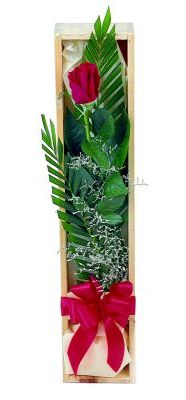 1 adet kutuda kirmizi g�l  Ankara 14 �ubat �i�ek g�nderme sitemiz g�venlidir 