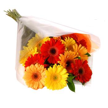 Karisik renklerde gerbera buketi  Ankara 14 �ubat cicekciler , cicek siparisi 