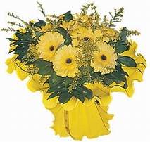  Ankara 14 �ubat �i�ek�i ma�azas�  9 adet sari g�zel gerbera