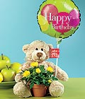  Ankara 14 �ubat �i�ek�i ma�azas�  Ayicik balon ve saksida sari g�ller