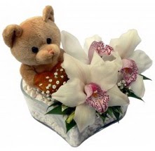  Ankara 14 �ubat �i�ek yolla �i�ek�i  15 cm boyutlarinda ayicik ve 1 kandil orkide