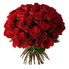  Ankara 14 �ubat �i�ek , �i�ek�i , �i�ek�ilik  33 adet k�rm�z� g�l buketi