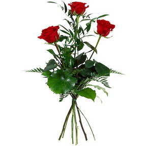  Ankara 14 �ubat uluslararas� �i�ek g�nderme  3 adet k�rm�z� g�lden buket