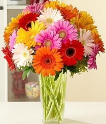  Ankara 14 �ubat �i�ek servisi , �i�ek�i adresleri  15 adet gerbera �i�ek vazosu