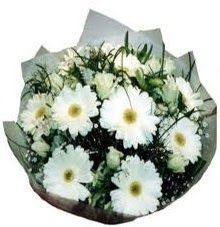 E�ime sevgilime en g�zel hediye  Ankara 14 �ubat hediye sevgilime hediye �i�ek 