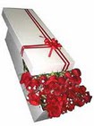  Ankara 14 �ubat �i�ek�i telefonlar�  11 adet 1.kalite magnum g�ller