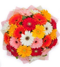 15 adet renkli gerbera buketi  Ankara 14 �ubat yurti�i ve yurtd��� �i�ek sipari�i 
