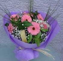  Ankara 14 �ubat �i�ek g�nderme sitemiz g�venlidir  9 adet gerbera g�zel �i�egi