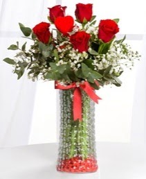 Cam vazoda 5 adet k�rm�z� g�l kalp �ubuk  Ankara 14 �ubat ucuz �i�ek g�nder 