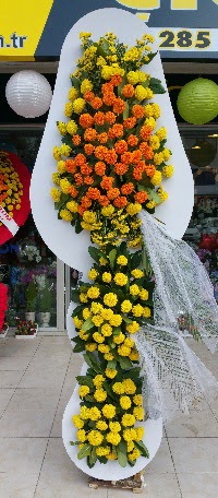 D���n A��l�� �i�ekleri  Ankara 14 �ubat kaliteli taze ve ucuz �i�ekler 