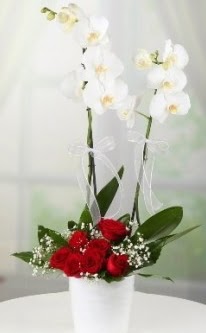 2 dall beyaz orkide 7 adet krmz gl  Ankara 14 ubat 14 ubat sevgililer gn iek 