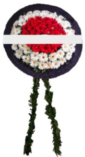 mozele �i�e�i  Ankara 14 �ubat hediye sevgilime hediye �i�ek 