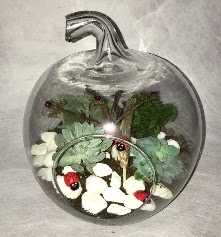 K���k terrarium elma 3 kakt�s  Ankara 14 �ubat �i�ek ma�azas� , �i�ek�i adresleri 