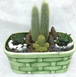 Seramik i�erisinde 5 kakt�sl� terrarium  Ankara 14 �ubat �i�ek g�nderme sitemiz g�venlidir 